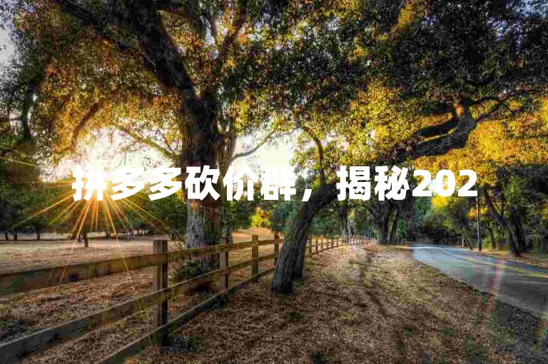 拼多多砍价群，揭秘2025优惠信息的独家渠道。