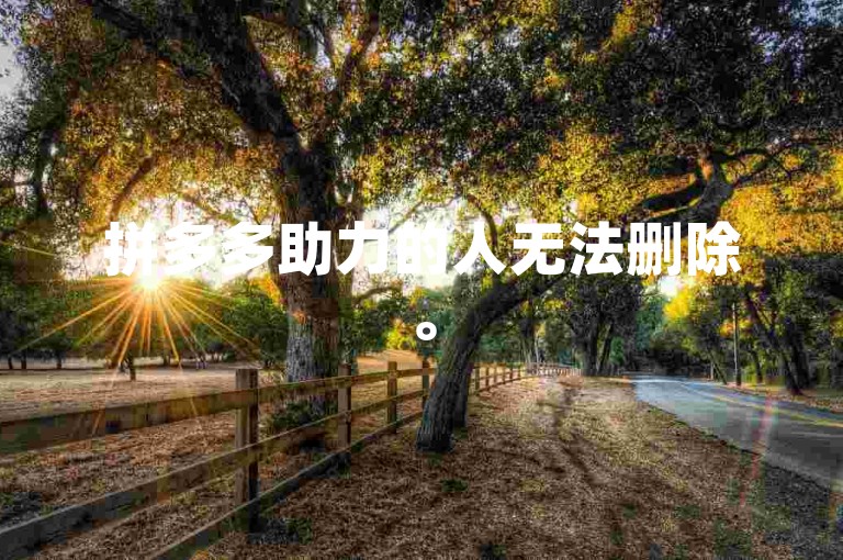 拼多多助力的人无法删除。