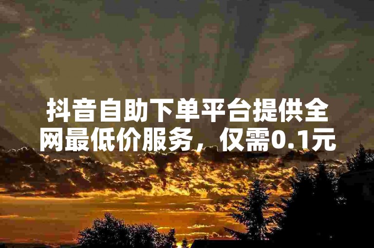 抖音自助下单平台提供全网最低价服务，仅需0.1元即可增加梓豪的快手粉丝。
