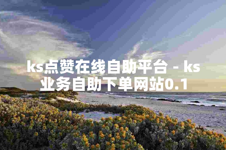 ks点赞在线自助平台 - ks业务自助下单网站0.1