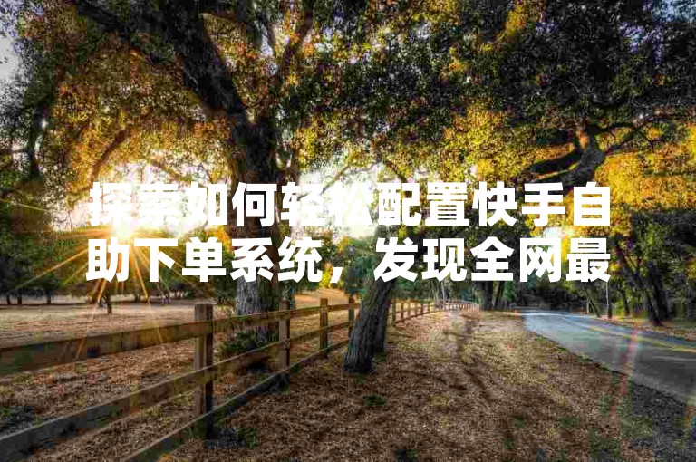 探索如何轻松配置快手自助下单系统，发现全网最低价的自助下单服务。
