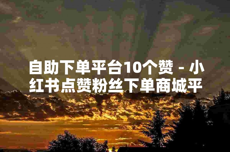 自助下单平台10个赞 - 小红书点赞粉丝下单商城平台，提供便捷的点赞服务。