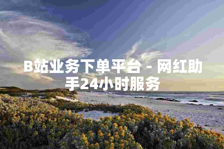 B站业务下单平台 - 网红助手24小时服务