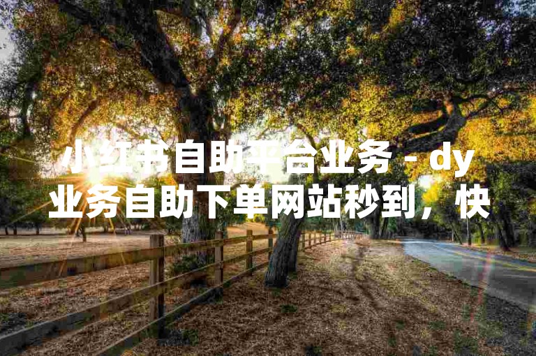 小红书自助平台业务 - dy业务自助下单网站秒到，快速便捷的服务让用户体验更加顺畅。