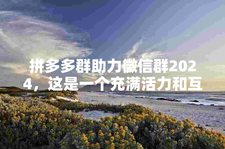 拼多多群助力微信群2024，这是一个充满活力和互助精神的社交群组，成员们在这里共同为彼此的购物需求提供支持。