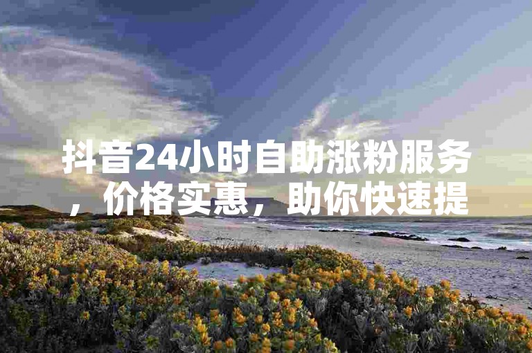 抖音24小时自助涨粉服务，价格实惠，助你快速提升人气。