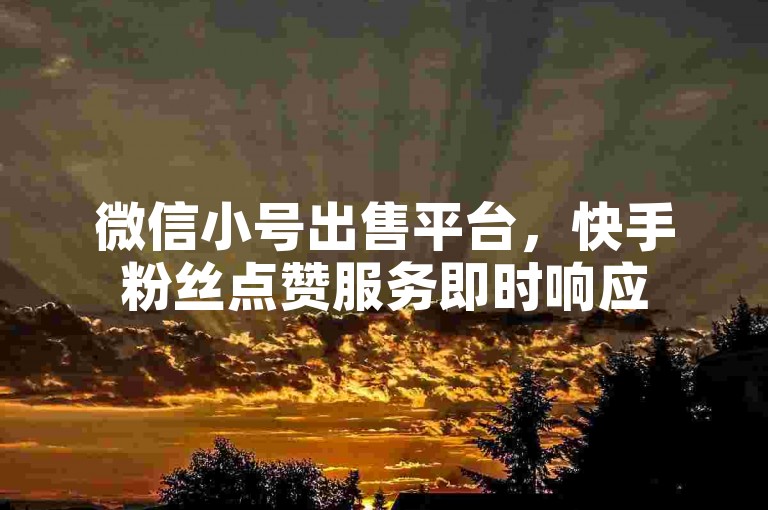 微信小号出售平台，快手粉丝点赞服务即时响应
