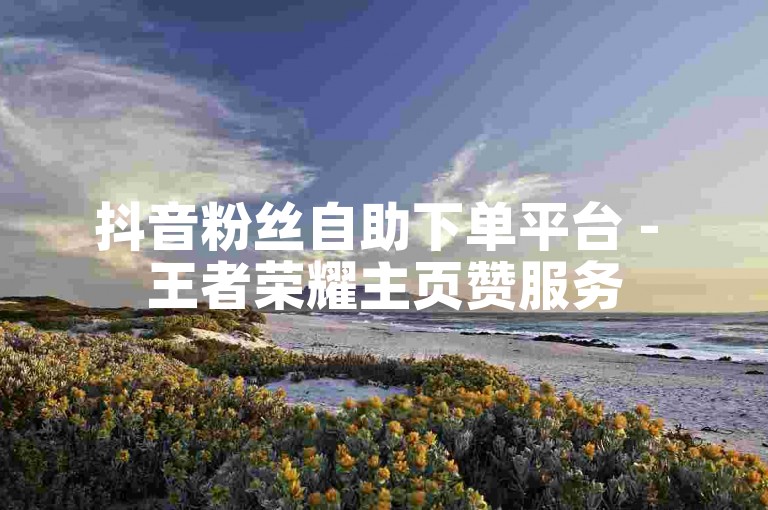 抖音粉丝自助下单平台 - 王者荣耀主页赞服务