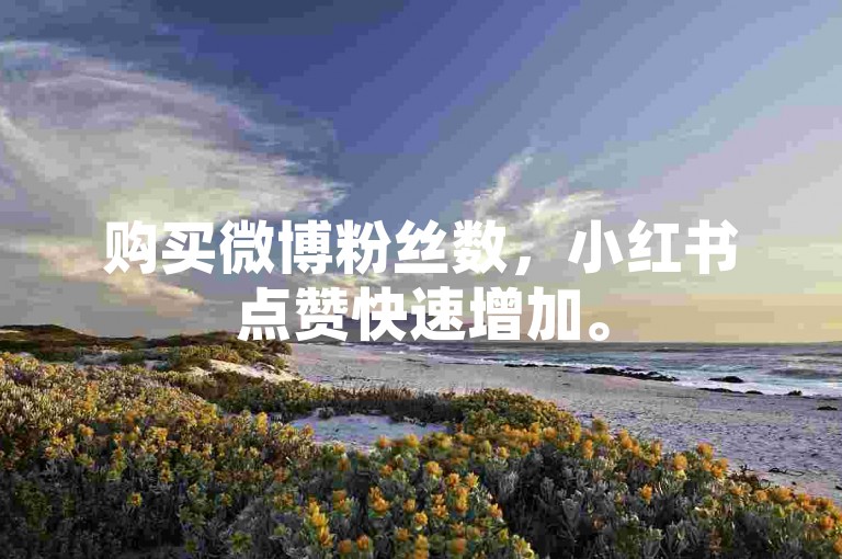 购买微博粉丝数，小红书点赞快速增加。