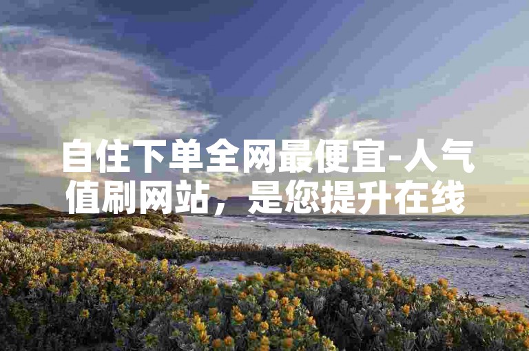 自住下单全网最便宜-人气值刷网站，是您提升在线影响力的首选平台。