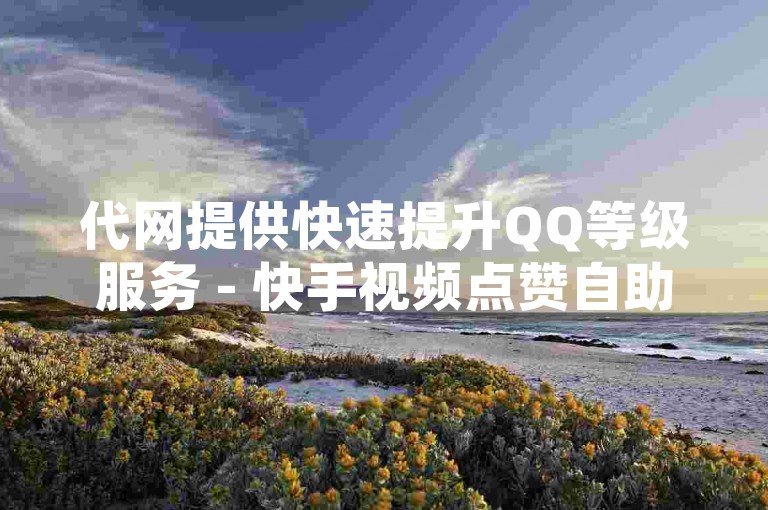 代网提供快速提升QQ等级服务 - 快手视频点赞自助平台优惠多。