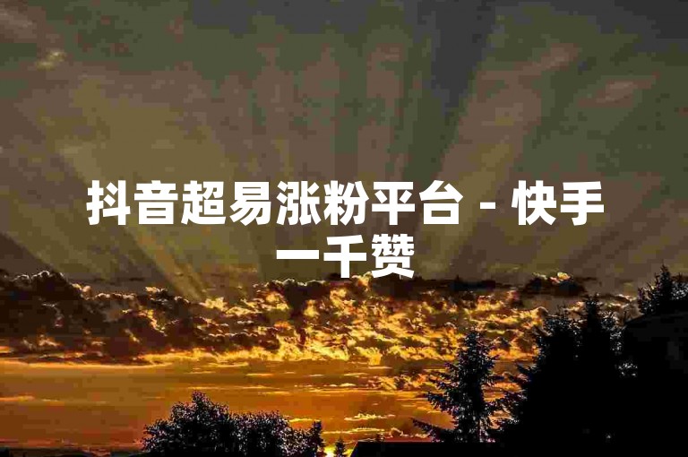 抖音超易涨粉平台 - 快手一千赞