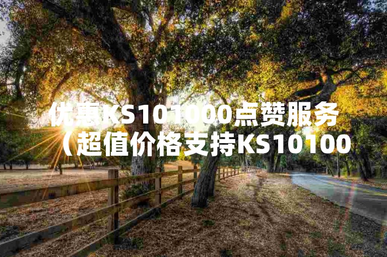 优惠KS101000点赞服务（超值价格支持KS101000）