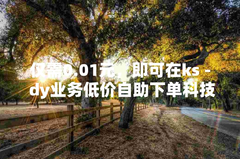 仅需0.01元，即可在ks - dy业务低价自助下单科技网站获得1000个赞。