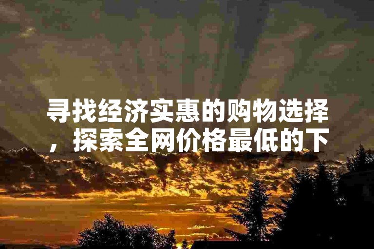 寻找经济实惠的购物选择，探索全网价格最低的下单平台。
