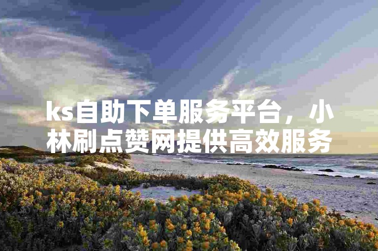 ks自助下单服务平台，小林刷点赞网提供高效服务。