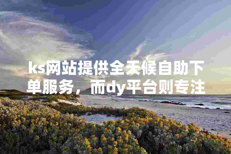 ks网站提供全天候自助下单服务，而dy平台则专注于点赞功能。