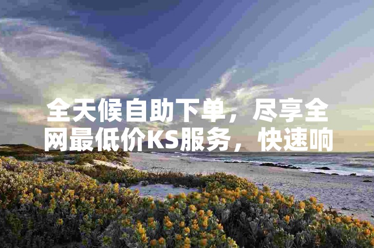 全天候自助下单，尽享全网最低价KS服务，快速响应，秒速完成订单。