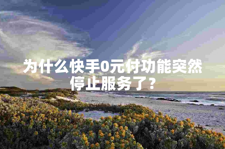 为什么快手0元付功能突然停止服务了？