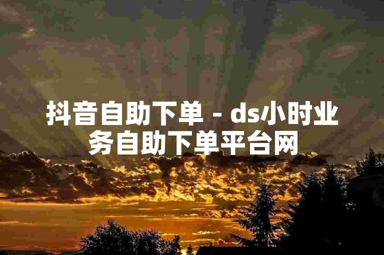 抖音自助下单 - ds小时业务自助下单平台网