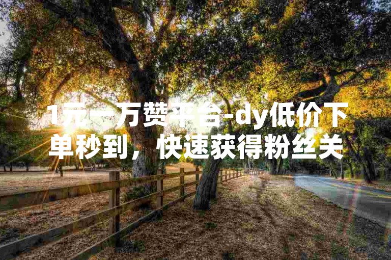 1元一万赞平台-dy低价下单秒到，快速获得粉丝关注。