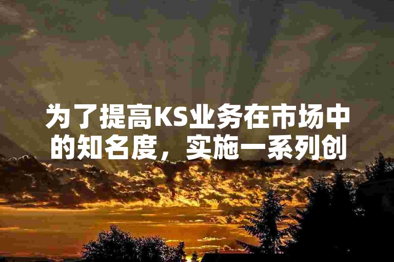 为了提高KS业务在市场中的知名度，实施一系列创新且高效的推广策略至关重要。