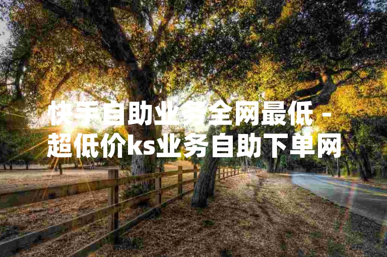快手自助业务全网最低 - 超低价ks业务自助下单网站,网红dy助手自助下单平台。