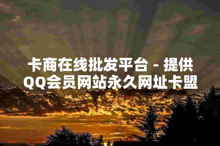 卡商在线批发平台 - 提供QQ会员网站永久网址卡盟服务