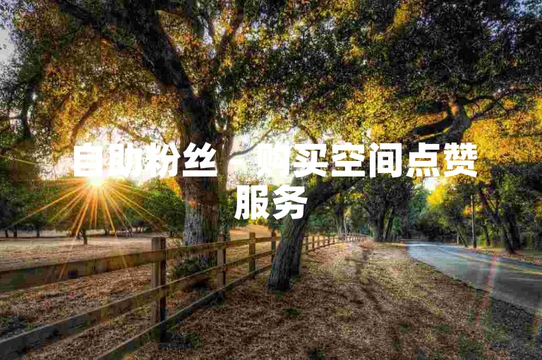 自助粉丝 - 购买空间点赞服务