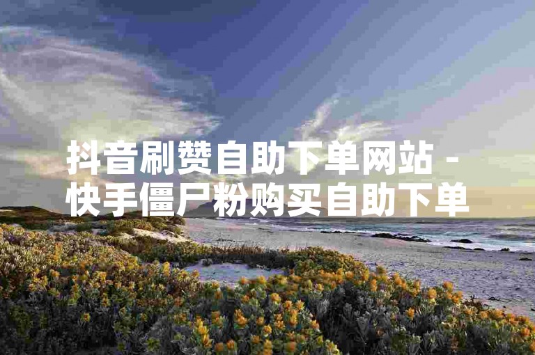 抖音刷赞自助下单网站 - 快手僵尸粉购买自助下单平台，提供快速、便捷的服务。