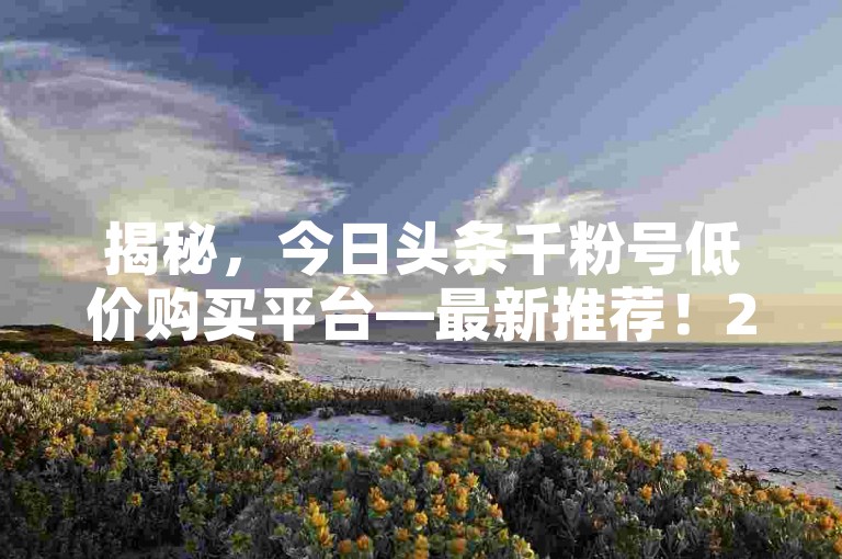 揭秘，今日头条千粉号低价购买平台—最新推荐！2025必学。