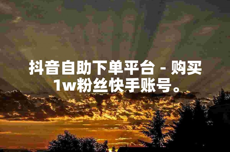 抖音自助下单平台 - 购买1w粉丝快手账号。