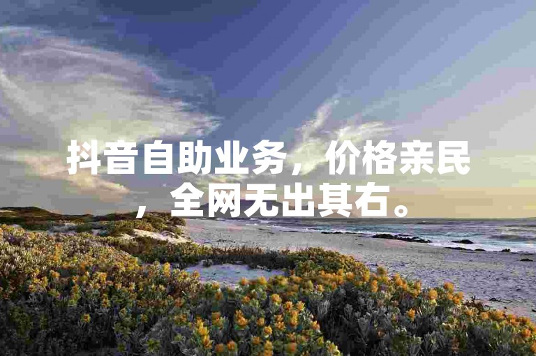 抖音自助业务，价格亲民，全网无出其右。
