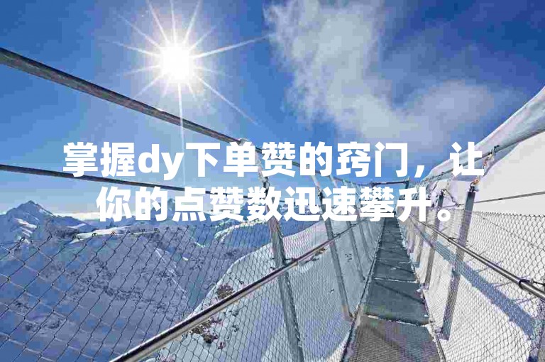 掌握dy下单赞的窍门，让你的点赞数迅速攀升。