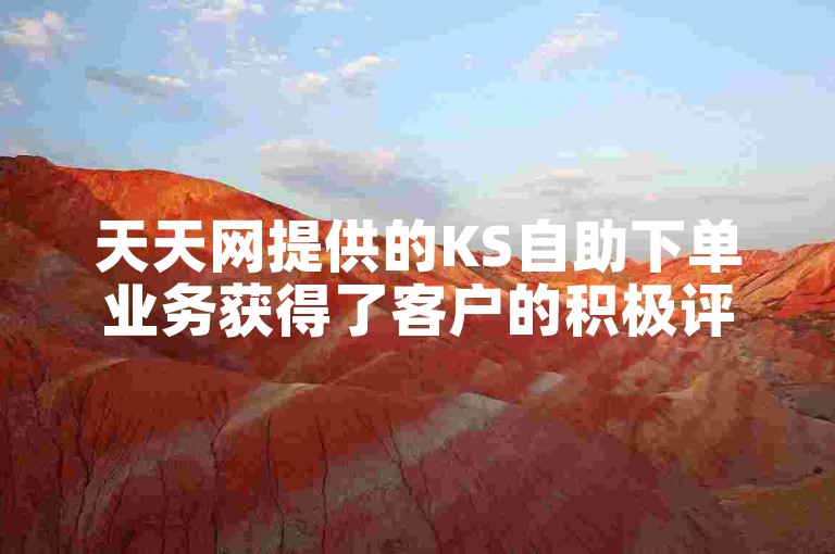 天天网提供的KS自助下单业务获得了客户的积极评价。