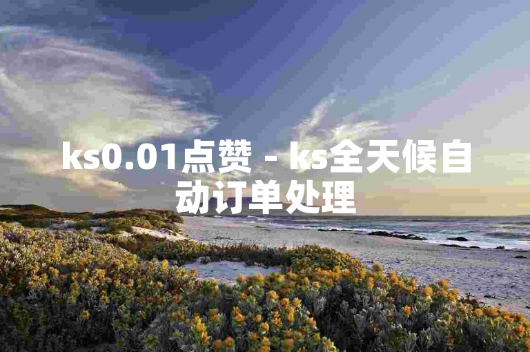 ks0.01点赞 - ks全天候自动订单处理