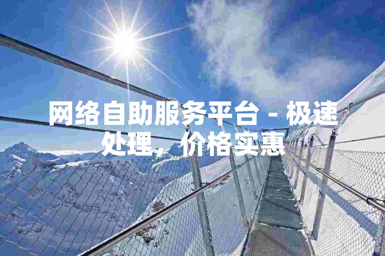 网络自助服务平台 - 极速处理，价格实惠