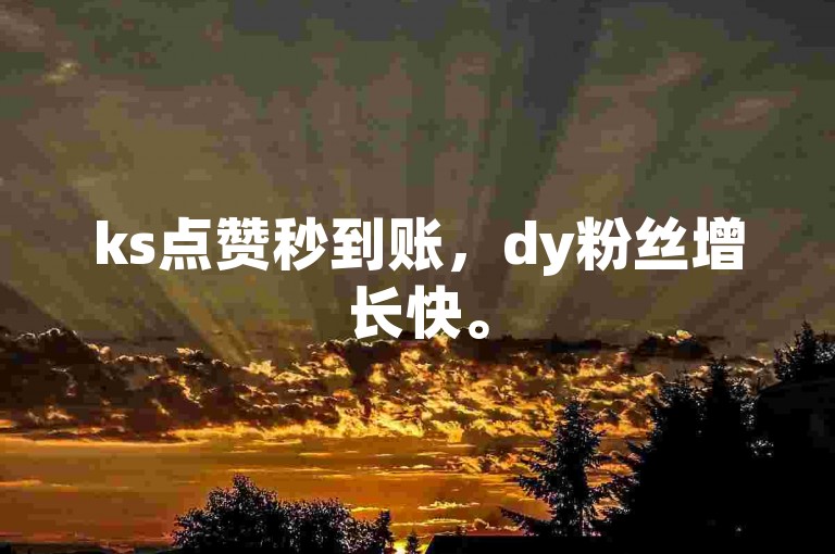 ks点赞秒到账，dy粉丝增长快。