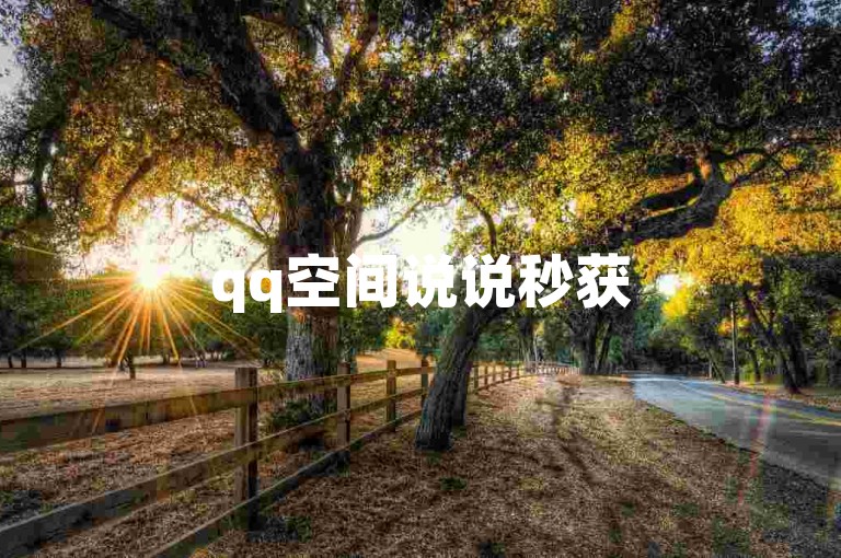 qq空间说说秒获50赞（瞬间收获50个qq空间说说的点赞）