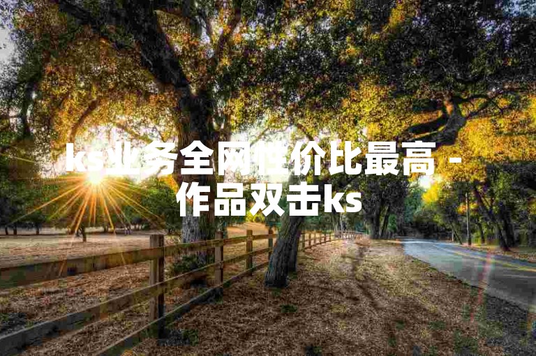 ks业务全网性价比最高 - 作品双击ks