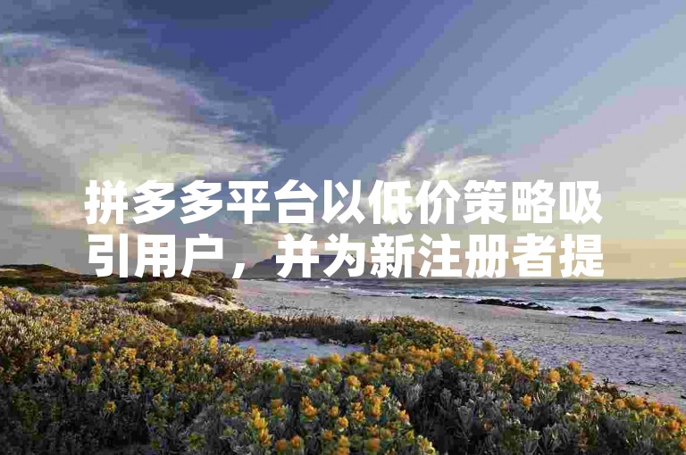 拼多多平台以低价策略吸引用户，并为新注册者提供免费赠品。