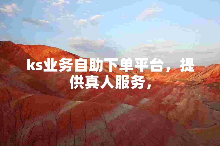 ks业务自助下单平台，提供真人服务，520代网站助力业务增长。