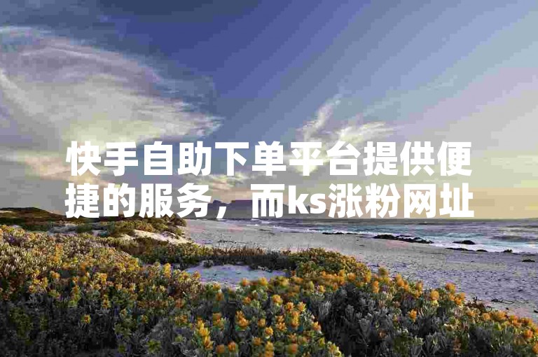 快手自助下单平台提供便捷的服务，而ks涨粉网址则以低价吸引用户。