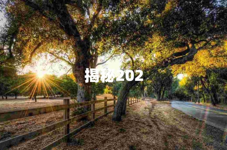 揭秘2025年必备技能，全天候自动下单平台的深度解析及实用指南！