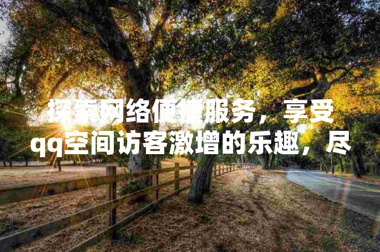 探索网络便捷服务，享受qq空间访客激增的乐趣，尽在云小店全天候自助下单平台。