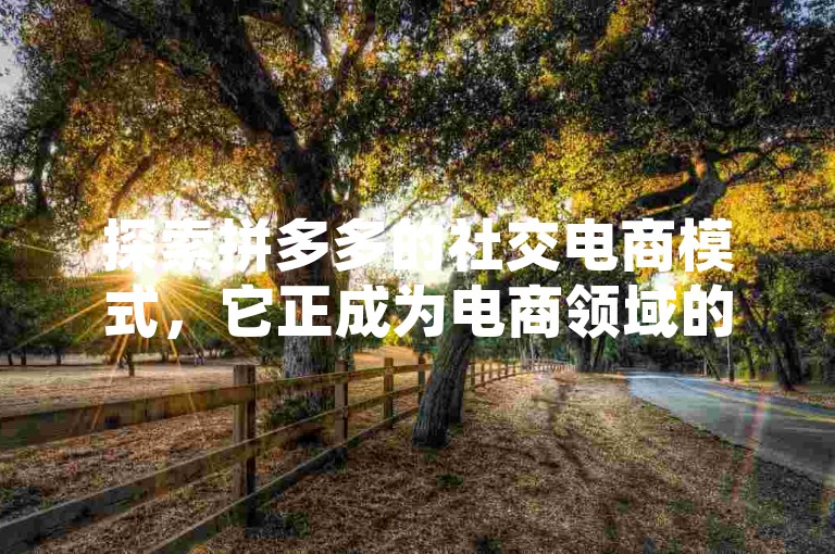 探索拼多多的社交电商模式，它正成为电商领域的一股不可忽视的新势力。
