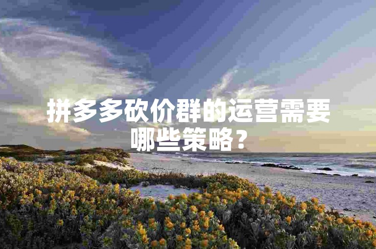 拼多多砍价群的运营需要哪些策略？