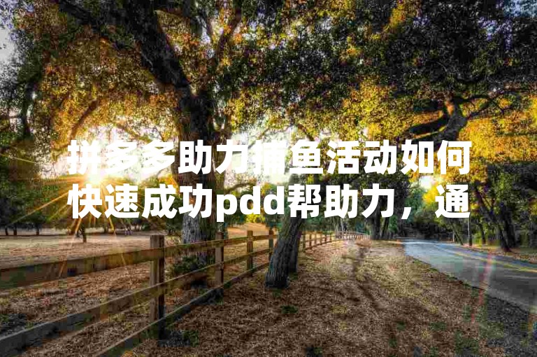 拼多多助力捕鱼活动如何快速成功pdd帮助力，通过邀请好友、分享活动链接和利用平台资源，可以有效提高拼多多助力捕鱼活动的成功率。