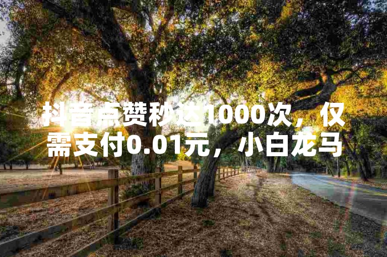 抖音点赞秒达1000次，仅需支付0.01元，小白龙马山肥的房产装修服务，让您轻松拥有理想家居。