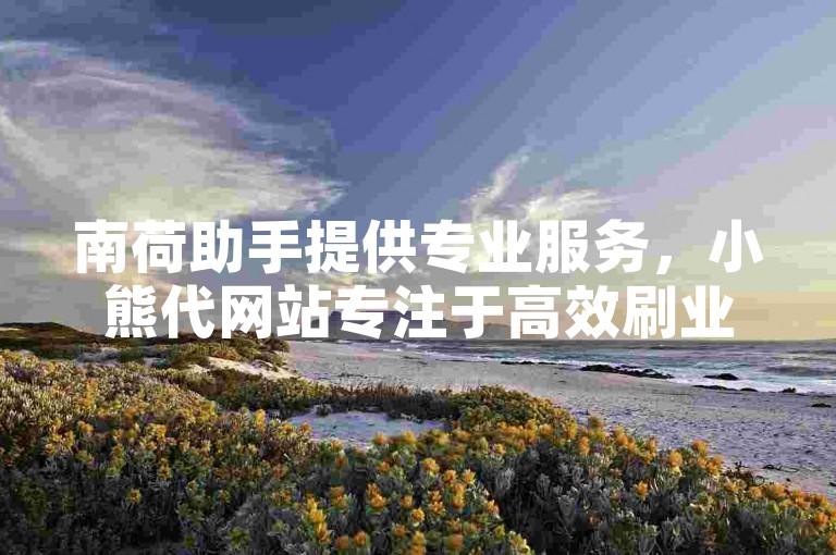 南荷助手提供专业服务，小熊代网站专注于高效刷业务。